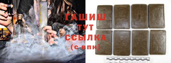 хмурый Арсеньев