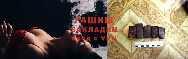 хмурый Арсеньев