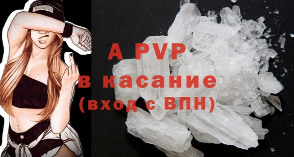 хмурый Арсеньев