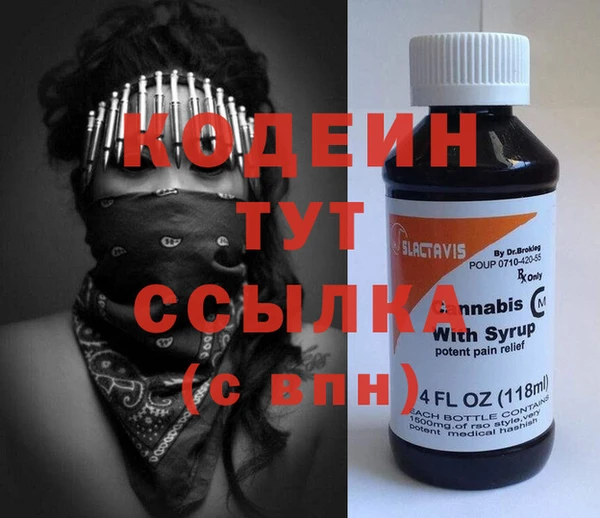 хмурый Арсеньев