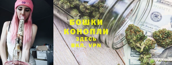 хмурый Арсеньев